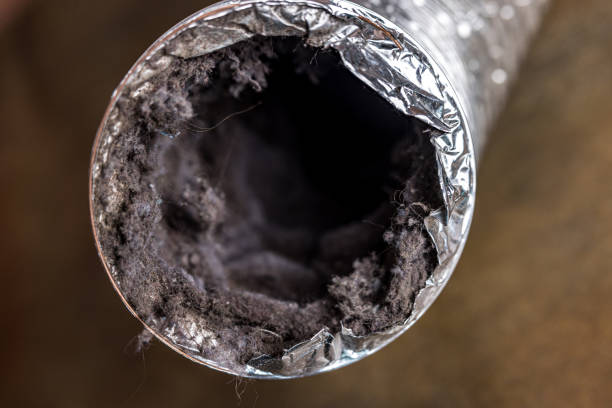 Best Professional Duct Cleaning Services  in Massapequa, NY